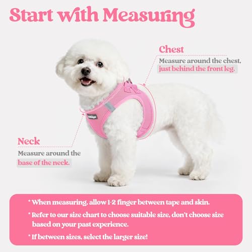 Dog Harness Medium Sized and Leash Set (Light Pink / L (chest: 18.2 - 20.5"))