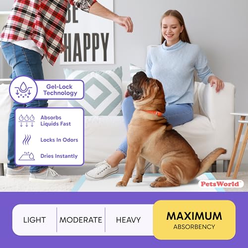 Giant Dog Potty Pads (36x36 Unscented / 100 Count)