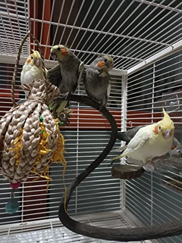 Parrot Perch Stand Bird Cage Stand Pole Natural Wild Grape Stick Grinding Paw Cage Accessories for Parakeet Cockatiels Budgies Conure Lovebirds Platform
