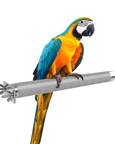 Parrot Perch Stainless Steel African Grey Perch Bird Cage Accessories for Small to Large Parrots (L: 11.8 x 1.2 inch)
