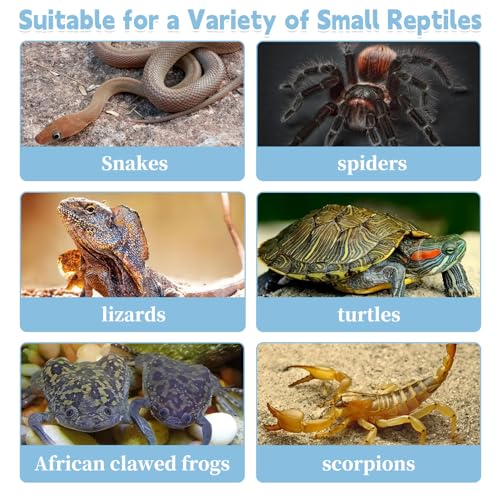 Reptile Feeding Box 6 PCS Snake Breeding Box Lizard Cricket Cage Habitat Hatching Container Transparent Portable Critter Keeper for Spider Scorpion Gecko Tortoise Treefrog