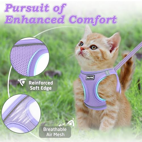 Cat Harness and Leash for Walking Escape Proof (L / Purple)