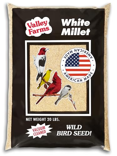 White Millet Wild Bird Seed (20 Pound (Pack of 1))
