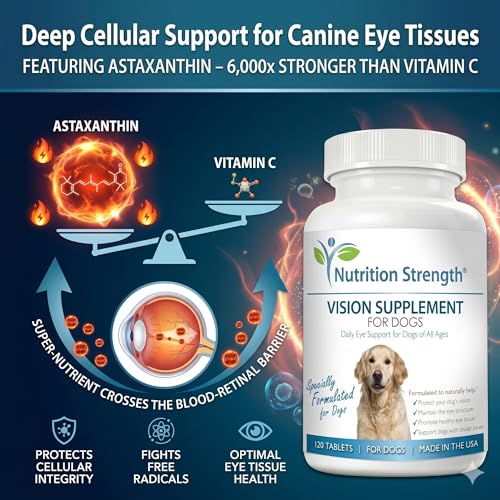 Eye Care for Dogs Daily Vision Supplement