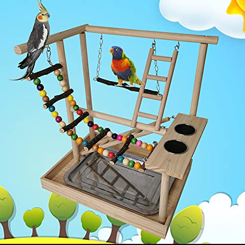 Bird Playground Parakeet Play Gym Wooden Parrot Perch Stand