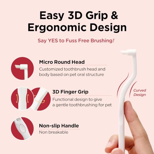 Dental Care Brush with Edge Bristles 1ea (Edge Bristles / 1 Count (Pack of 1))
