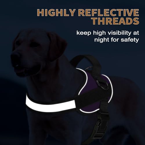 Essential Dog Harness (XL / Purple)