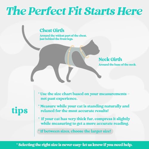 Cat Harness and Leash Set (L / Green)