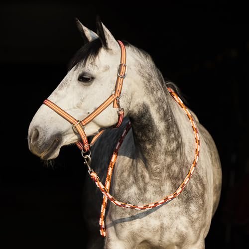 Adepto Adjustable Horse Halter (Coral Gold / Warmblood)