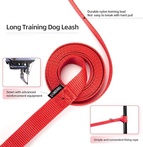 Dog Puppy Obedience Recall Training Agility Lead (Mint Blue / 50 Feet)