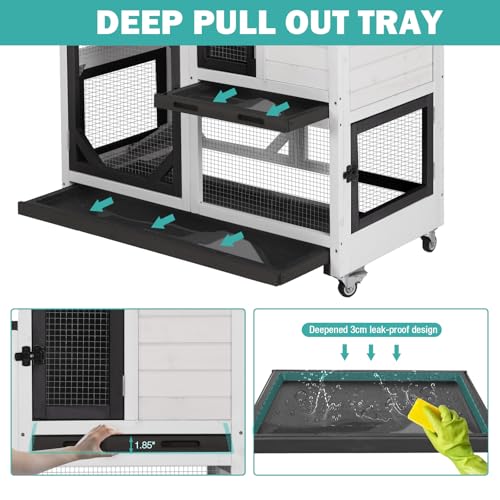 Rabbit Hutch Indoor for 2 ((White & Black-AIR7013))
