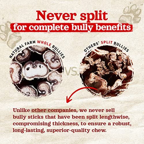 Odor Free Select Bully Sticks (12" Select - 1 Pound)