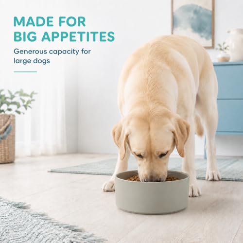 Ceramic Dog Bowls (Matte Gray)