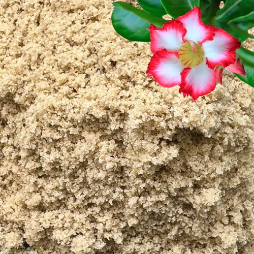 Fine Sand for Plants (Horticultural Fine Sand / 1 qt)