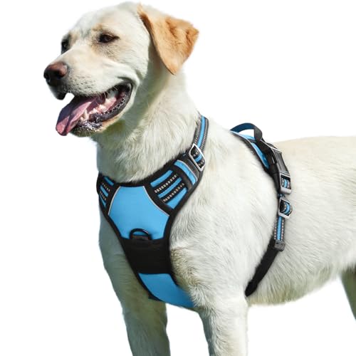 Dog Harness for Large Dogs (Large / Sky Blue)