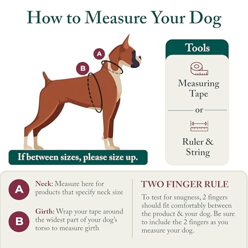 No Pull Dog Harness (Large/X-Large / Red)