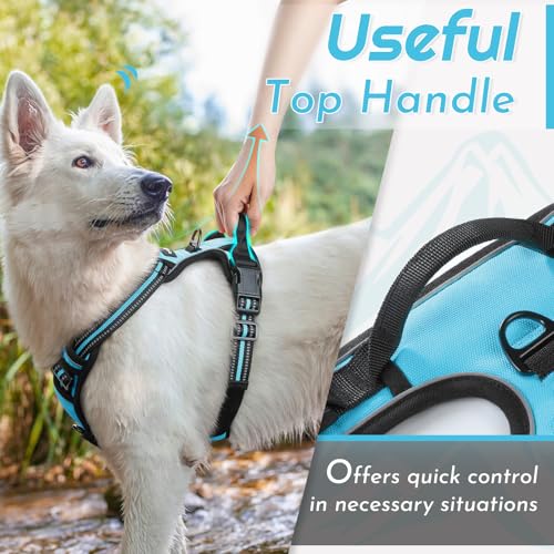 Dog Harness for Large Dogs (X-large / Sky Blue)