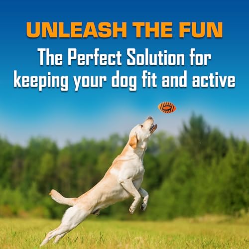 Dog Spiral Squeak Football Outdoor Dog Toy