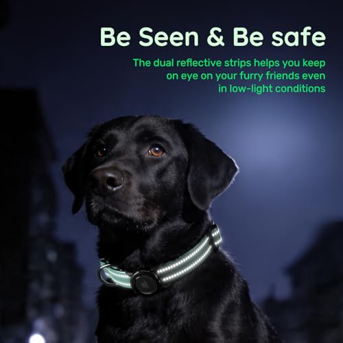 Airtag Dog Collar (Z: Teal / S: with Airtag Holder)