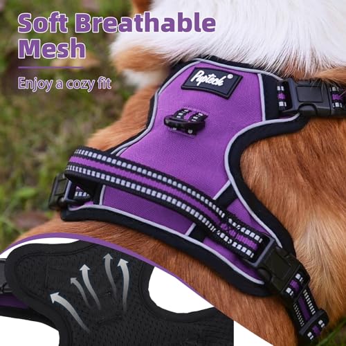 No Pull Dog Harness for Large (Purple / X-Large)