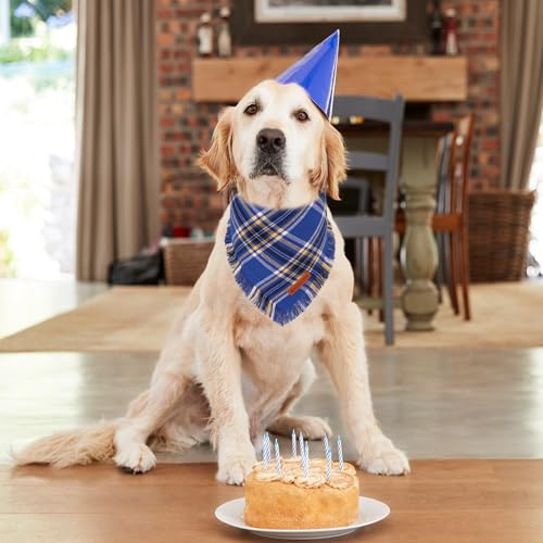 Dog Bandana Boy (Large / Blue)