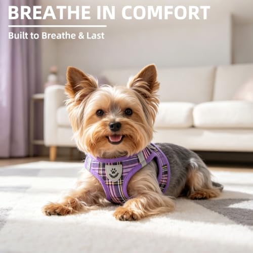 Dog Harness Collar and Leash Set No Pull for Small Medium Sized (Purple / S (CHEST 14.5"-16"))