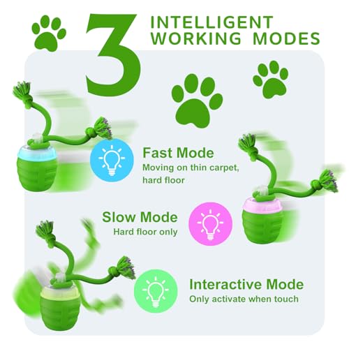Interactive Dog Toy (Green / Small)