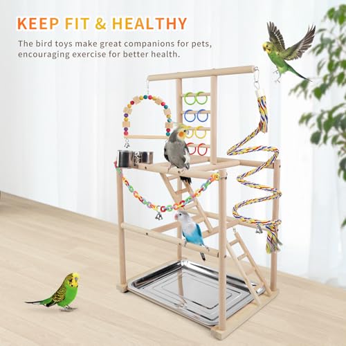 Bird Playground