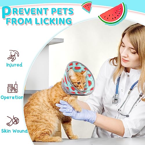 Cat Cone Collar Soft to Stop Licking (Blue / S)