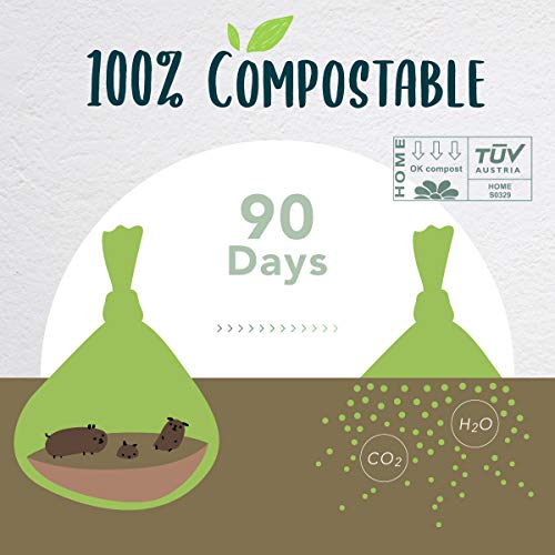 60 Count Compostable Dog Poop Bags (1 Count (Pack of 60))
