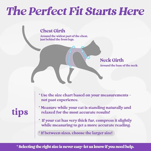 Cat Harness and Leash Set (M / Purple)