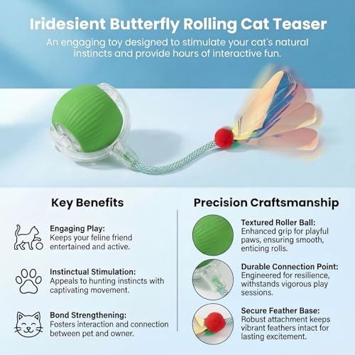 Interactive Cat Toy for Indoor Cats (Green)