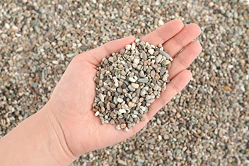 Thoreau Aquarium Natural Fine Gravel 3 (M,2Lx1pk)