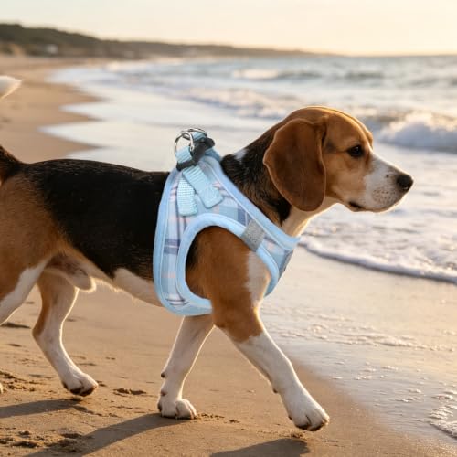 Dog Harness Collar and Leash Set No Pull for Small Medium Sized (Blue / XL (CHEST 20"-22"))