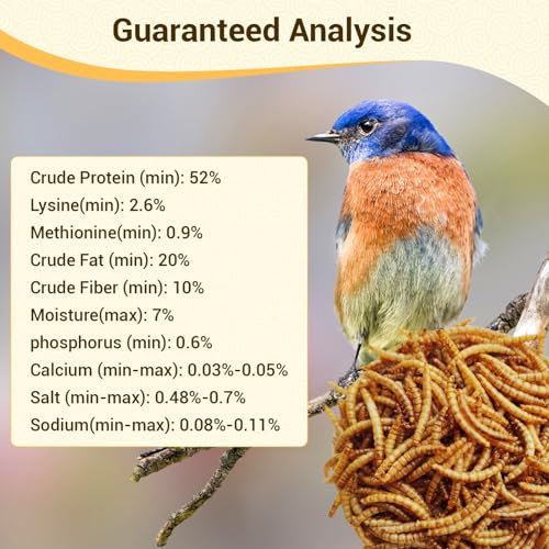 10lb Dried Mealworms for Chickens Duck High Protein Birds Treat (10 Pound (Pack of 1))