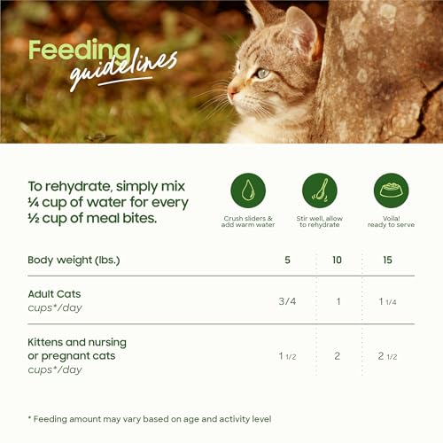 Freeze Dried Raw Cat Food (10 Ounce (Pack of 1))