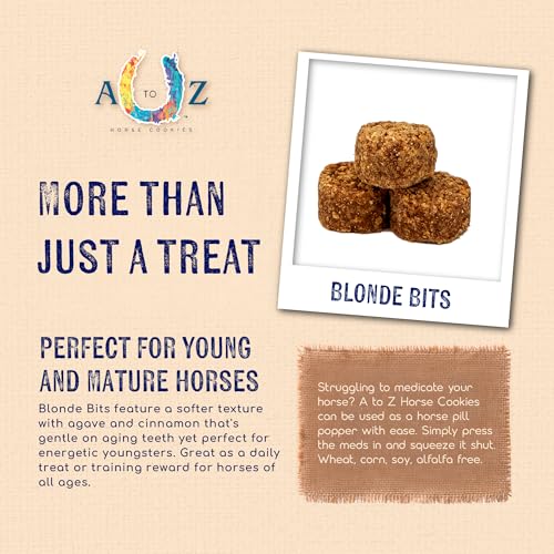 Horse Treats Blonde Bits of Health