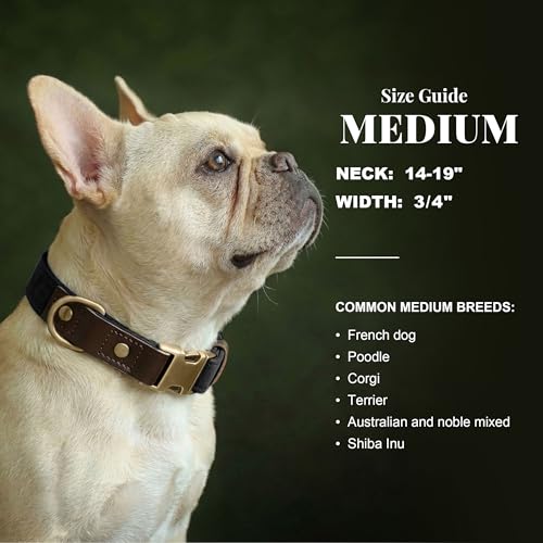 PU Leather Dog Collar for Medium Dogs (Black / M: Neck 14-19", Width ¾")