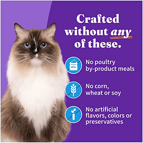 Pate Wet Cat Food