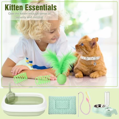10 Pcs Kitten Starter Kit for Indoor (Classic / Medium / Green White)
