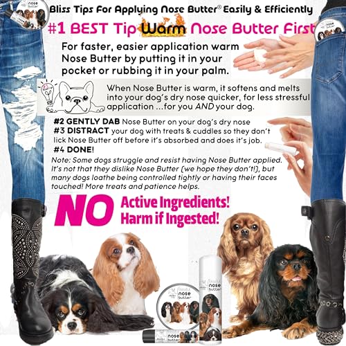 Cavalier King Charles Spaniel Unscented Nose Butter (Cavalier King Charles Spaniel - All / 8 Ounce)