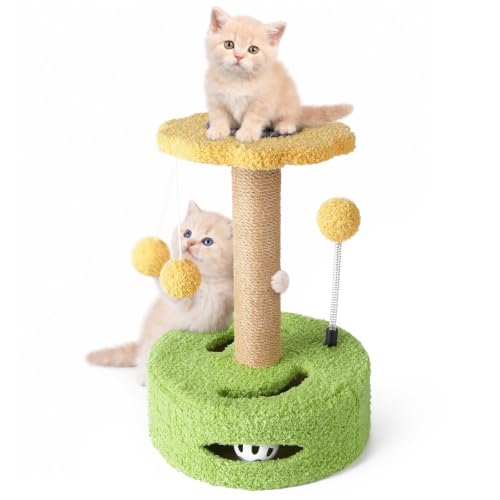 Small Cat Scratching Post with Perch Kitten Toys for Indoor Kittens 4 in 1