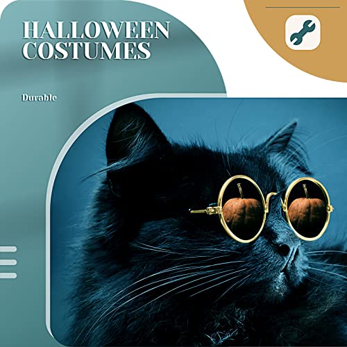 Dog Sunglasses Round Metal Pet Eyewear (Gold, Black / Classic Style)