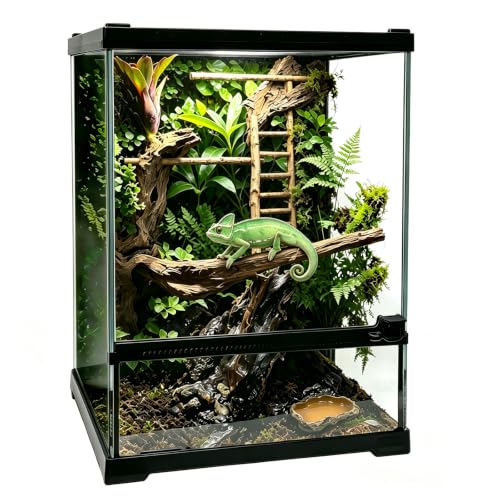 Reptile Glass Terrarium Tank 10 * 10 * 14in (10x10x14 inch)
