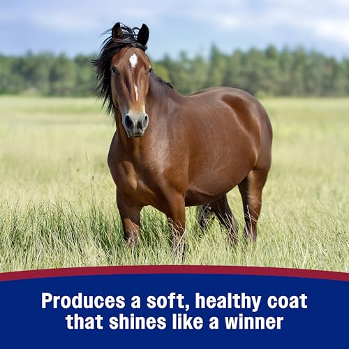 Laser Sheen Dazzling Shine & Detangler Concentrate for Horses 12 oz (12 oz concentrate)