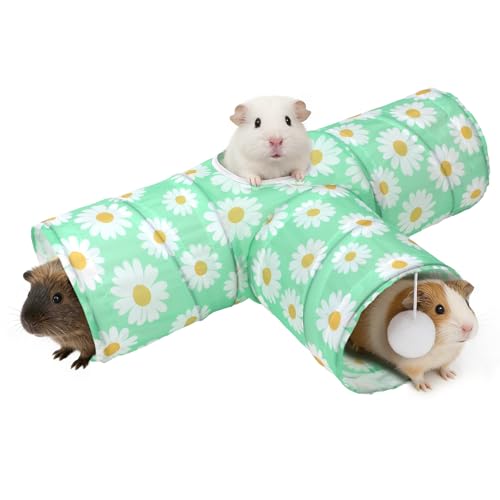 Guinea Pig Tunnel Hideout 3 (Daisy)