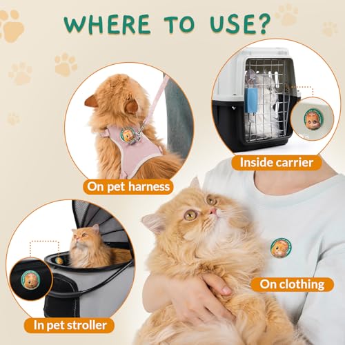 Calming Pop Patch for Cat Travel (14 Count)