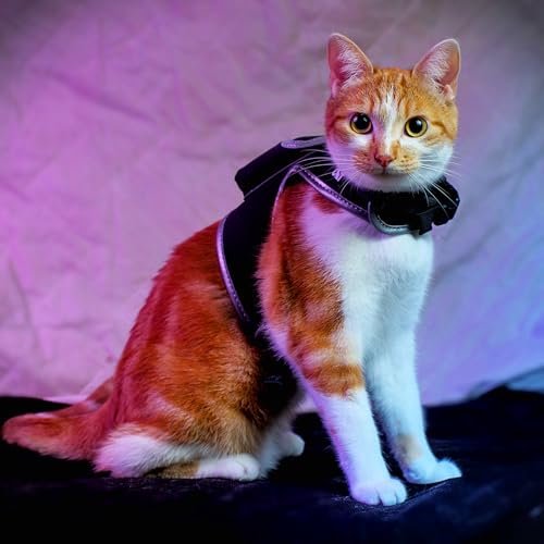 Travel Cat & Stray Cat Harness and Leash Set (LARGE: 13-16 IN)