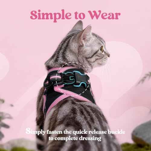 Cat Harness and Leash Set (L / Black & Pink)