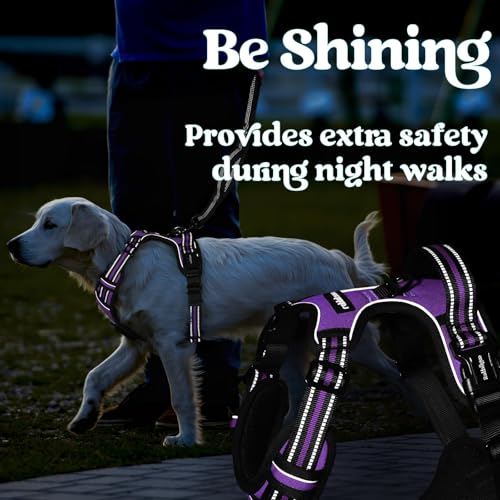 Dog Harness for Large (Large / Purple)